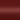 Acura Island Coral Pearl R95P color swatch