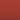 Ford Coral CQ color swatch